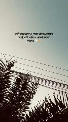 অধিকার দেখাও,জোর খাটাও শাসন করো,এটা আমার ভিষণ ভালো লাগে। 🤍🫶#fyp #foryou #bdtiktokoffici @for you house ⍟ @TikTok Bangladesh 