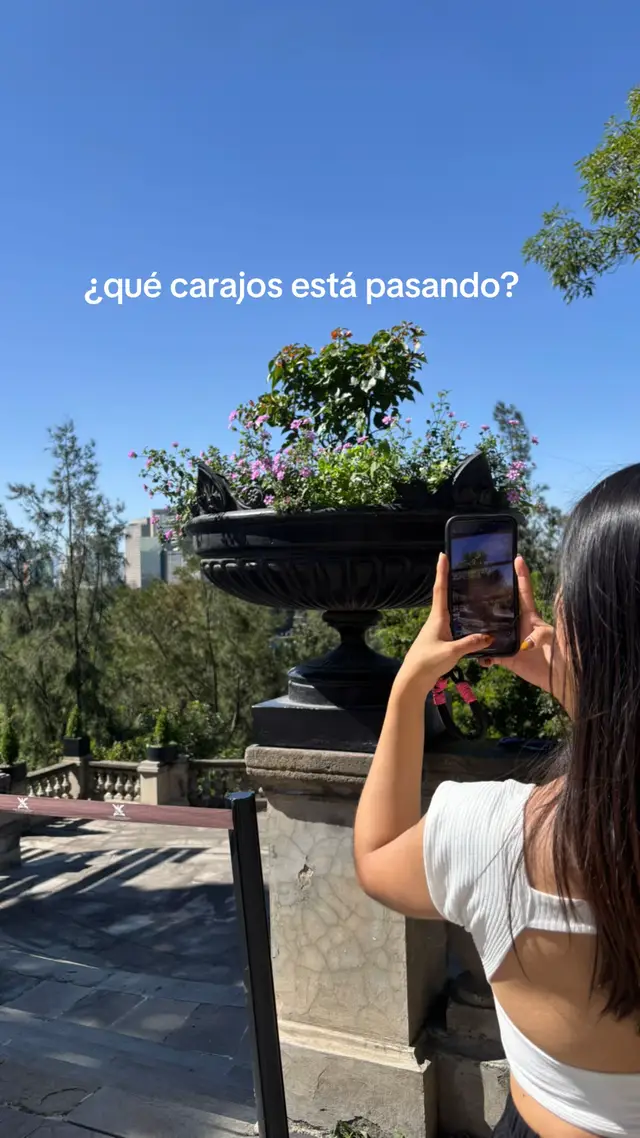 Ya uso la base de mi color, jajaja #GlowUp #pidieronelremix 