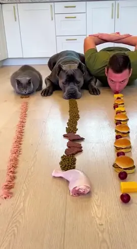 Goofus 🐾 didn’t just win… they ended my career as an eater 😭   #dog #cat #foodchallenge #dogeating #canecorse 