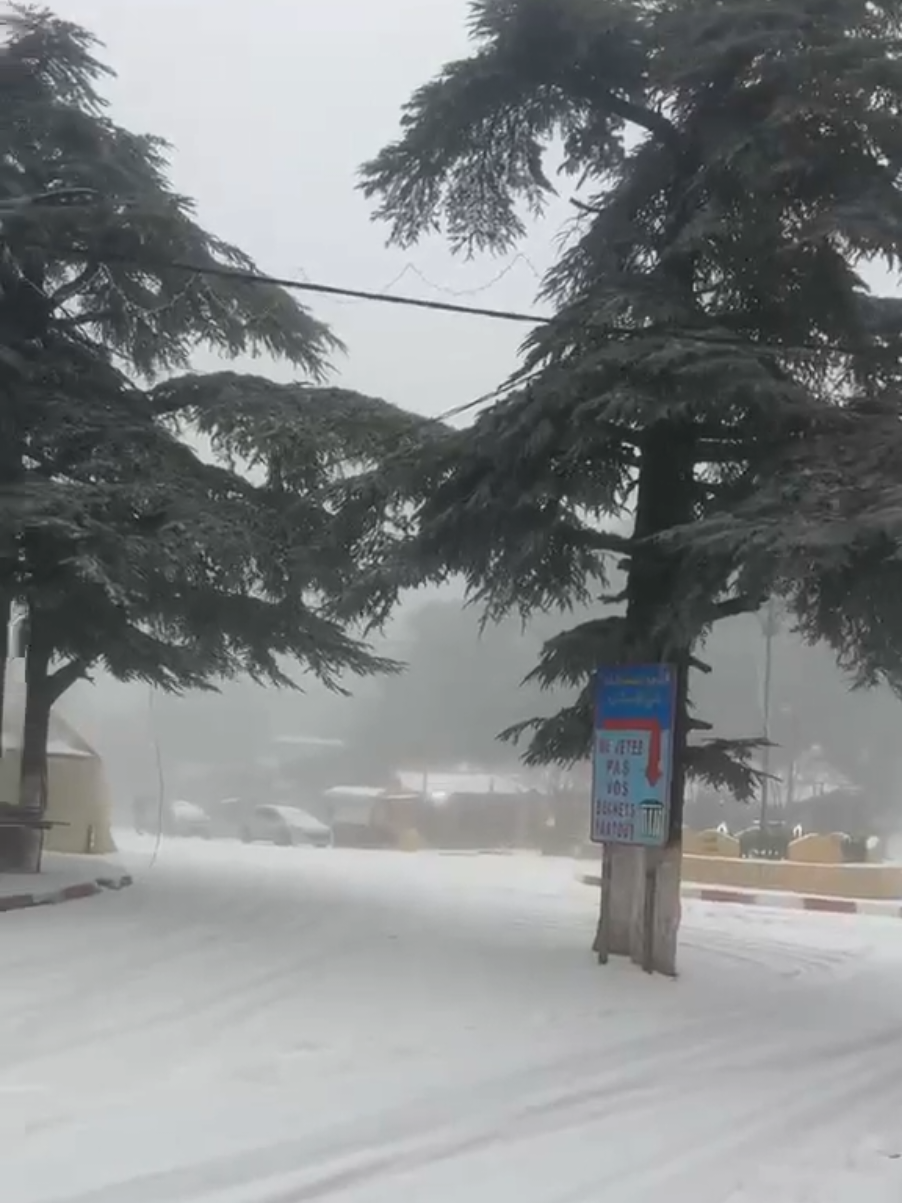 #blida #البليدة_مدينة_الورود🌹  #الشريعة #blida09 