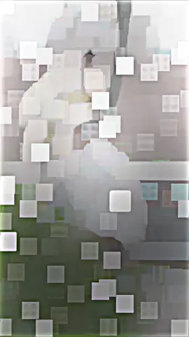 #tiktok #newvideo #unfrezzmyaccount #treanding #tiktokviralvideo 