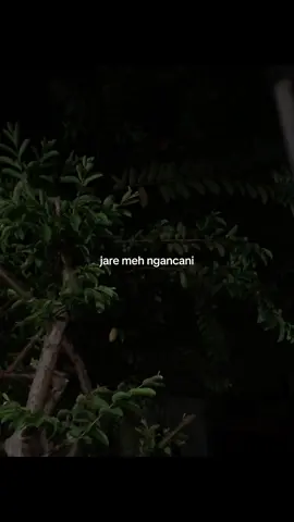 #liriklagusad #lagujawa #overlaylyrics #sadstory 