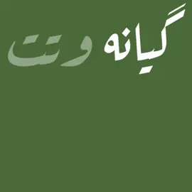 zyad asad ~#inshot #lyric #kurdish #song #zyadasad 