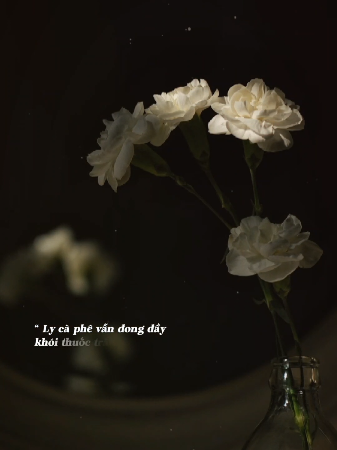 Cuộc đời vẫn thế chỉ còn ta đứng yên... #nhachaymoingay #tusu 