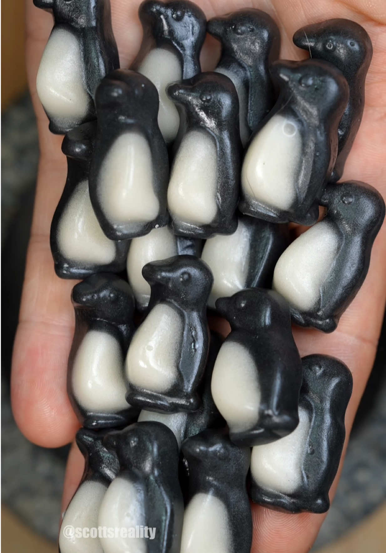 Guess the final color of these penguin jellies! 😳