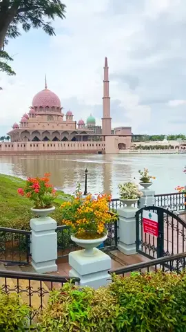 #creatorsearchinsights #foryoupage #virlvideo# #duet #onthisday 