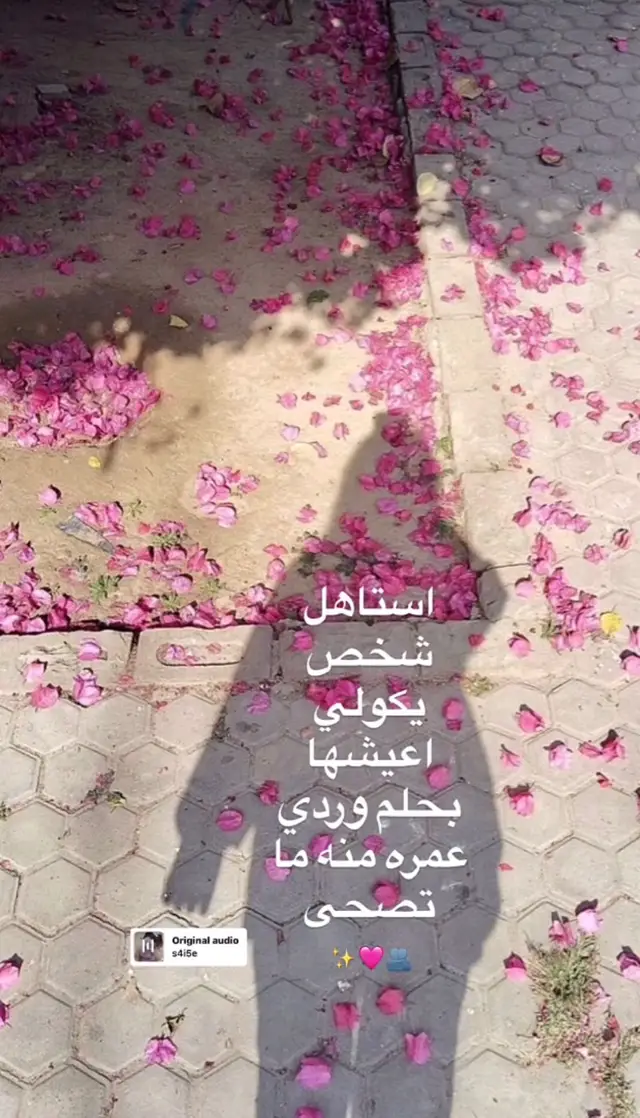 #حلم #وردي #اكسبلورexplore #لايك #ترند 