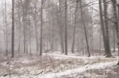 #winter #lain #Love #you #лейн #эксперементылейн #miss #музыка #Home 