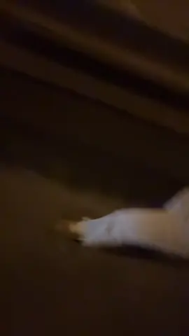 Essa música nn sai da minha cabeça 