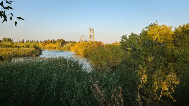 ولاية الخيـر🤎قناة التلجرام بل بايو لتحميل جميع المقاطع والصور بجوده عاليه 