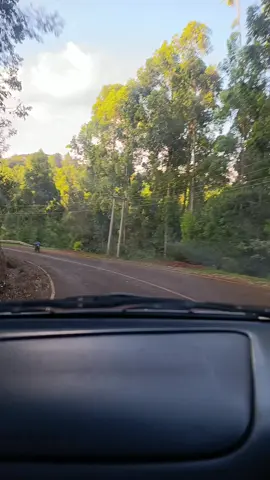 #ngogoyobacktoback #johndemathewsongchallenge #Roadtrips #murangatiktokers 