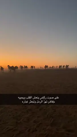 #الشلاحي #منقية_الجزيرة#الوضح_عطايا_الله #الابل_عطايا_الله # 