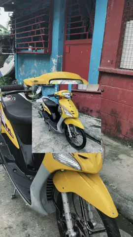 meet my Bumble bich✨