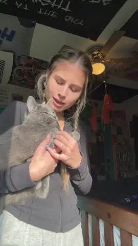 could accomplish more then sum #foryou #banger #lipsync #fypシ゚viral #yb 