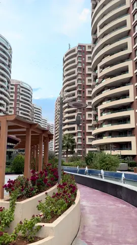 #foryou #fyp #fypシ゚ #viral #explore 