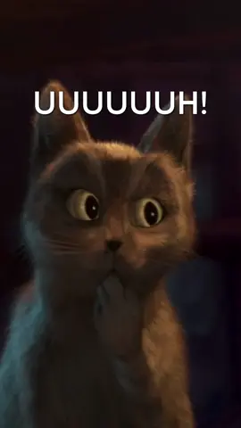 Top maneiras de como (não) conquistar a gata. ☝️ #GatoDeBotas #Shrek #Animação #HBOMax