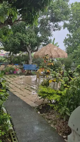 Han sido días difíciles… días de estrés, ansiedad, tristeza… días sin dormir bien, sin comer bien. Pero aun así, sigo aquí… porque mi fuerza viene de Dios. Él me ha sostenido cuando yo ya no podía más. Y aunque hoy duela, sé que Él tiene el control. Un día… todo esto será testimonio. ##DiosEsBueno #Justicia #proteccionadultosmayores #fe 