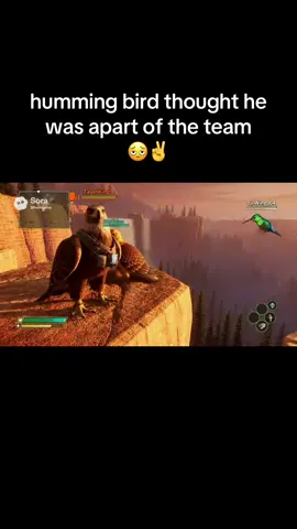 “Just do 18 damage per peck” brutal 💔#birdgame3 #birdgame #soraai #gaming #meme 