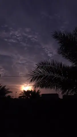 #غيث_صباح #تصويري 