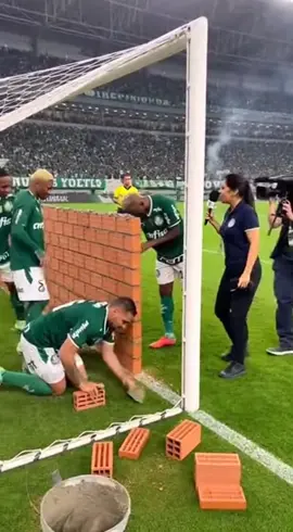 #libertadores #flamengo #palmeiras #brasil #brasileirao 