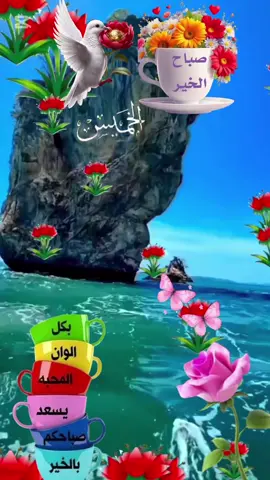 #صباح_يوم_الخميس  #صباح_الخير  #❤️❤️❤️  #اكسبلور 