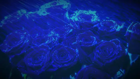 Gira Gira (Lyrics) - Ado #ado #fyp #xyzbca #adomination #song 