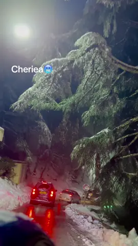 #شريعة❄😍 #blida09_tiktok_algérie❤️🇩🇿 #الشعب_الصيني_ماله_حل😂😂🙋🏻‍♂️ 