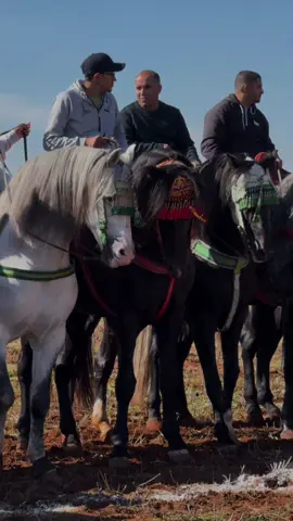 #إدعموني_بفولو_و_متابعة_و_أكسبلور #إدعموني #تكبيس #followers #شعبي_مغربي 