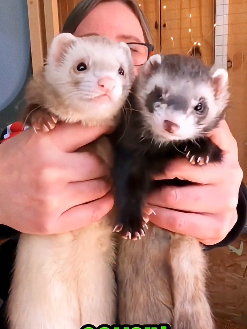 Did You Know UK & World Wonders 💬 #DidYouKnow#MindBlowingFacts #InterestingFacts #StoryFacts #FactTok #KnowledgeFacts #UKTikTok #LifeInEurope #BritishCulture #EuropeanVibes #UKFacts #HistoryFacts #ScienceFacts 