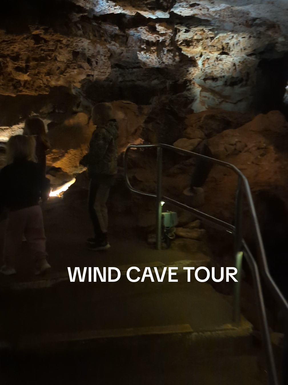 Calling all spelunkers!  Wind Cave National Park in South Dakota is the world's first cave national park and it offers underground tours to the public year round.  The Garden of Eden tour is the least strenuous tour which is good for families or those with limited time or abilities. Do keep in mind that there are still 150 stairs total and spots you need to duck your head. At a quarter mile in length, this tour takes around an hour to complete. At a consistent 54°f, it's warmer to head underground in the winter and a good place to cool off in the summer! I recommend booking your tour tickets online several days prior to arrival, because tickets are typically sold out quickly for the day.  📍Wind Cave National Park, South Dakota #nationalpark #southdakota #cave #underground #blackhills 