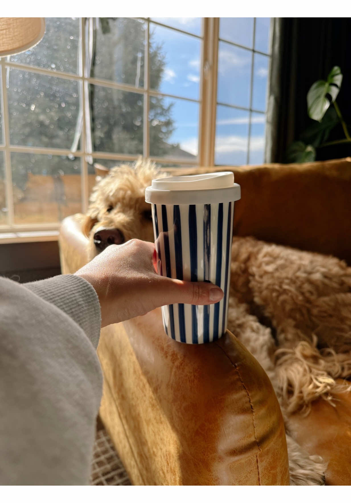 The CUTEST striped ceramic mug got delivered today! 📦 #ceramiccoffeemug #amazonmusthaves #coffeetiktok #aesthetic #amazonfinds 