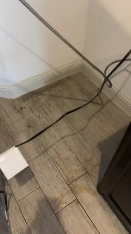 VIDEO PROOF FOR YOUR CL #Archiversdiary #fypシ゚ @ARCHIVERS DIARY 📔👨🏾‍💻🗽 