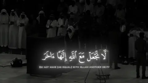 لَّا تَجۡعَلۡ مَعَ ٱللَّهِ إِلَٰهًا ءَاخَرَ #ياسر_الدوسري #quran ##islam #islamic_video #تلاوة_خاشعة 
