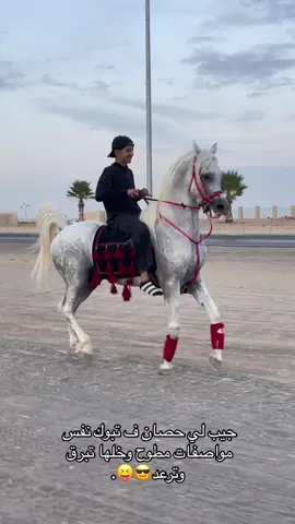 لا قبله حصان ولا بعده حصان🤙🏻.#مطوح_تبوك #اكسبلورexplore #تبوك_الان #خيل_وخياله🐎 