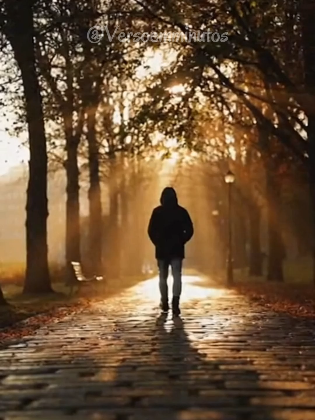 DEUS VAI COLOCAR ALGUÉM NO SEU CAMINHO PARA TE LEVANTAR Deus não quer que você caminhe sozinho. Ele prepara encontros, alianças e conexões que levantam. ✨ 'Melhor serem dois do que um…' — Eclesiastes 4:9  💬 Comente 'Eu recebo' e ative a fé hoje.  🔔 Inscreva-se para receber palavras de fé diariamente.  #Jesus #Deus #CuraEmocional #MensagemDeFé #Cristão #Reflexão #Oração