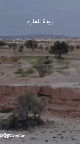 شيله جديده _ كلمات الشاعر@قرناس الجزيرررة #fpy #foryoupage #اكسبلورexplore #اكسبلور #fypシ゚ 