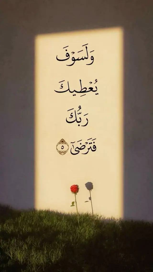 #علي_المياحي #الشيخ #يالله #يارب❤️ #يارب_فوضت_امري_اليك 
