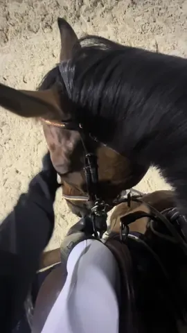 العمر مع جنابك والعمر معك ما املّه❤️🐎 #horse #explore #fyp 