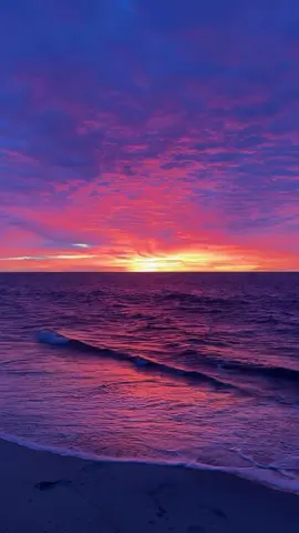 #بتقلي_بحبك #وائل_جسار 