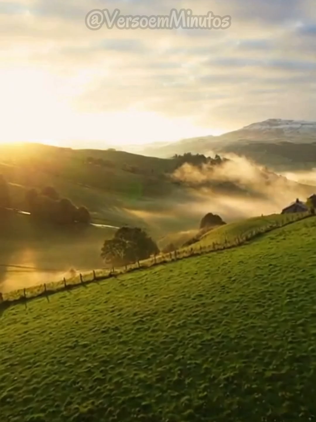 Esse pecado não é só carne — é alma ferida buscando fuga. Deus quer restaurar sua mente.  Comente “Purifica-me”. #Jesus #Deus #CuraEmocional #MensagemDeFé #Cristão #Reflexão #Oração #VersoEmMinutos