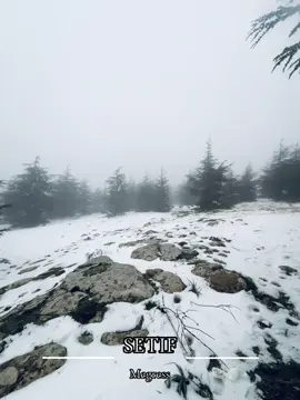 #setif #magras ❄️❤️
