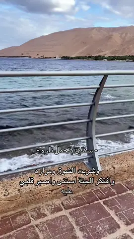 #حقل #تبوك #تصويري #fypツ 