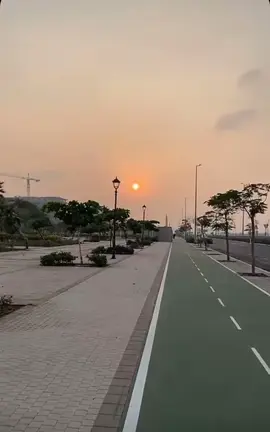 #في هذا اليوم 