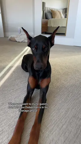 He’s actually good besides shoving his nose up peoples cracks 🤦🏼‍♀️ 