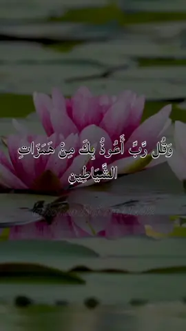 #quranvideo #quran_alkarim #quran #quran_kurdi #quranrecitation 