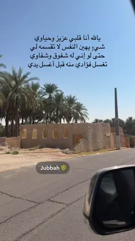 ‏يا كثركم يا جعلكم ما تكثرون ‏ياهل الهروج اللي مامنها فايده ‏وقت العوافي تذبحون وتصلخون ‏ووقت القسى ماتنطحون الكايده  #تصويري #اكسبلورexplore #طلعوني_اکسبلور #حركة_إكسبلور 