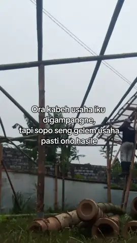 untiren basse jii #liriklagu #sadvibes #fyp 