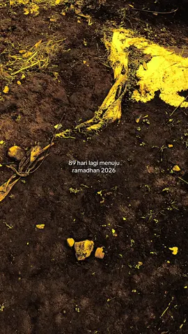 #ramadhan2026 #ramadhan #langitaestetik #xybza #masukberandamuu 