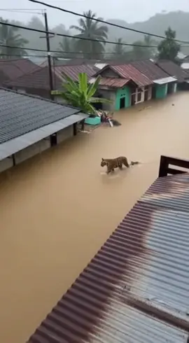 Membalas @Zin乂𝐖𝐢𝐛𝐮𝐒𝐨𝐟𝐭 wibu generasi cemas 2045, kalo gaptek ya jangan yapping wibu, bikin AI begini gampang banget dan lu masih kegocek dan bela belain bahwa itu video asli. wibu kurang sekolah ih kasian