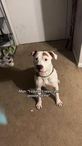 My dog got more self control than all you.